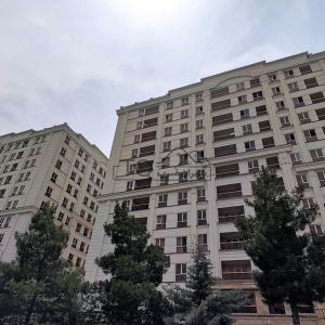 برج رونیکا پالاس پاسداران