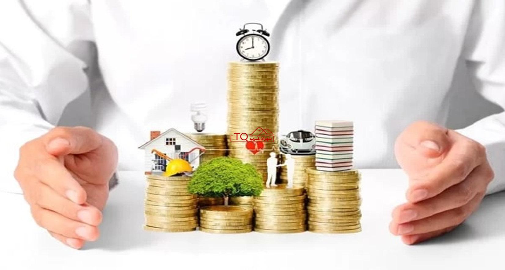 سرمایه گذاری در رونیکاپالاس کوهک