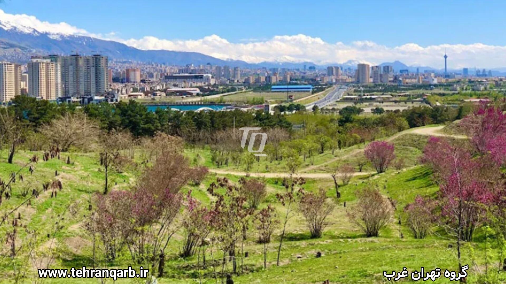 پارک جنگلی چیتگر